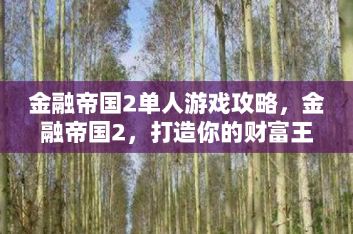 金融帝国2单人游戏攻略，金融帝国2，打造你的财富王国