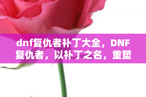 dnf复仇者补丁大全，DNF复仇者，以补丁之名，重塑战斗艺术