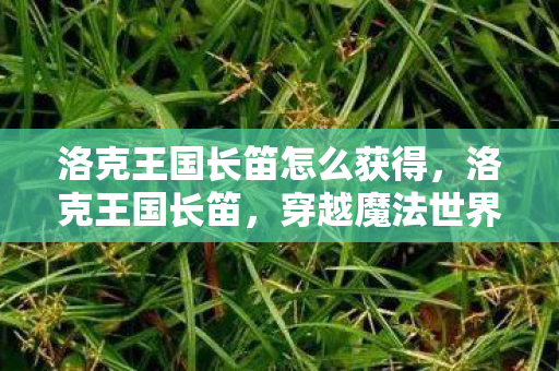 洛克王国长笛怎么获得，洛克王国长笛，穿越魔法世界的悠扬旋律