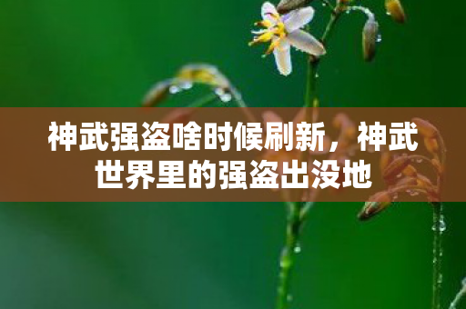 神武强盗啥时候刷新，神武世界里的强盗出没地