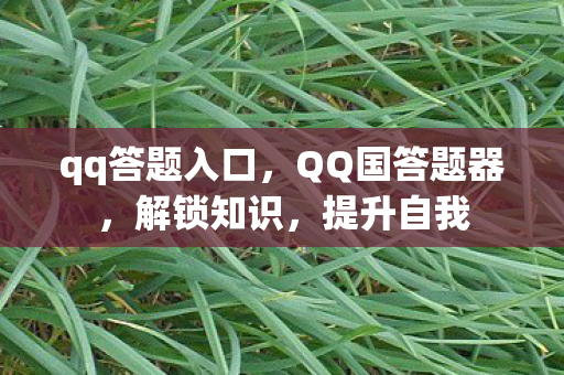 qq答题入口，QQ国答题器，解锁知识，提升自我