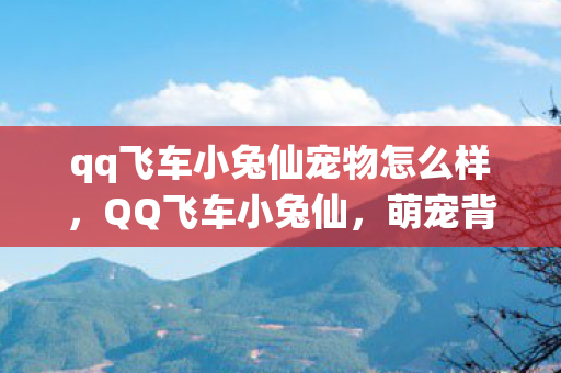 qq飞车小兔仙宠物怎么样，QQ飞车小兔仙，萌宠背后的故事与游戏文化