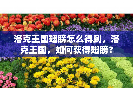 洛克王国翅膀怎么得到,洛克王国,如何获得翅膀? 洛克王国翅膀怎么得到,洛克王国,如何获得翅膀?