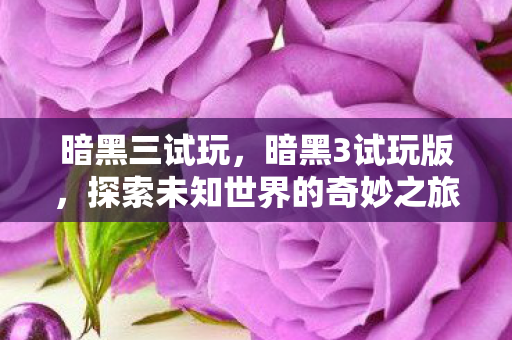 暗黑三试玩，暗黑3试玩版，探索未知世界的奇妙之旅