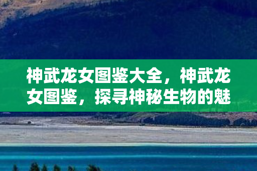 神武龙女图鉴大全，神武龙女图鉴，探寻神秘生物的魅力与力量