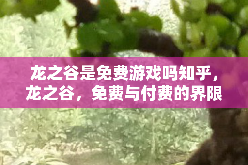 龙之谷是免费游戏吗知乎,龙之谷,免费与付费的界限 龙之谷是免费游戏吗知乎,龙之谷,免费与付费的界限