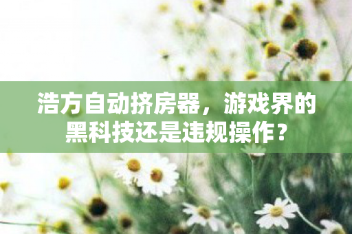 浩方自动挤房器，游戏界的黑科技还是违规操作？