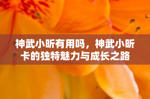 神武小昕有用吗，神武小昕卡的独特魅力与成长之路