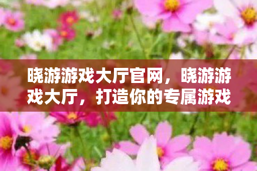 晓游游戏大厅官网，晓游游戏大厅，打造你的专属游戏乐园