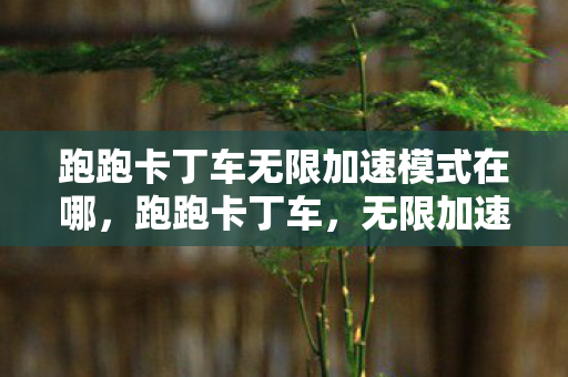 跑跑卡丁车无限加速模式在哪，跑跑卡丁车，无限加速的激情与回忆
