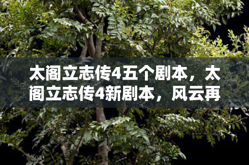 太阁立志传4五个剧本，太阁立志传4新剧本，风云再起