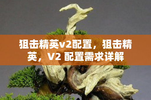 狙击精英v2配置，狙击精英，V2 配置需求详解