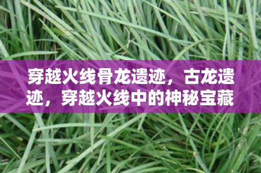 穿越火线骨龙遗迹，古龙遗迹，穿越火线中的神秘宝藏