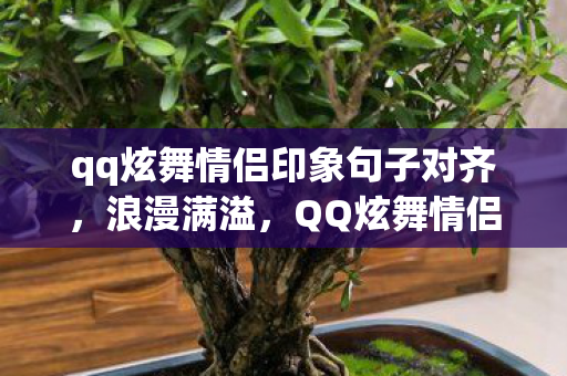 qq炫舞情侣印象句子对齐，浪漫满溢，QQ炫舞情侣印象句子精选