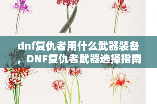 dnf复仇者用什么武器装备，DNF复仇者武器选择指南，打造最强战斗力的必备利器