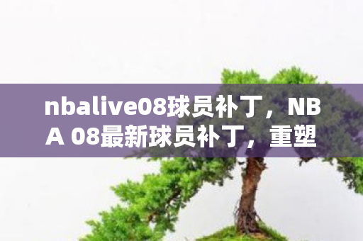 nbalive08球员补丁，NBA 08最新球员补丁，重塑经典，再现辉煌