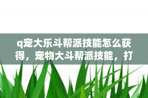 q宠大乐斗帮派技能怎么获得，宠物大斗帮派技能，打造你的专属宠物军团