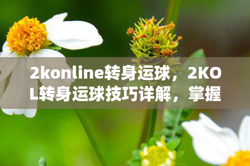 2konline转身运球，2KOL转身运球技巧详解，掌握这项技巧，提升你的球场统治力