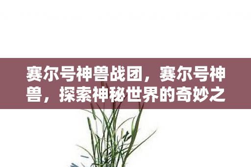 赛尔号神兽战团，赛尔号神兽，探索神秘世界的奇妙之旅