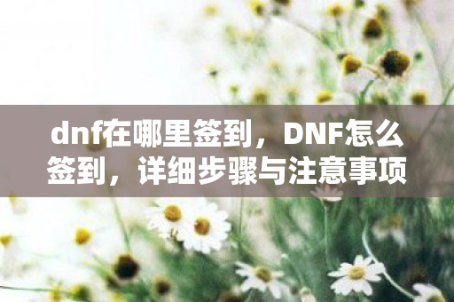 dnf在哪里签到，DNF怎么签到，详细步骤与注意事项
