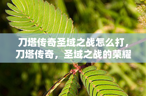 刀塔传奇圣域之战怎么打，刀塔传奇，圣域之战的荣耀与梦想