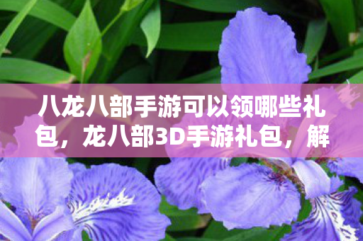 八龙八部手游可以领哪些礼包,龙八部3D手游礼包,解锁你的武侠梦 八龙八部手游可以领哪些礼包,龙八部3D手游礼包,解锁你的武侠梦