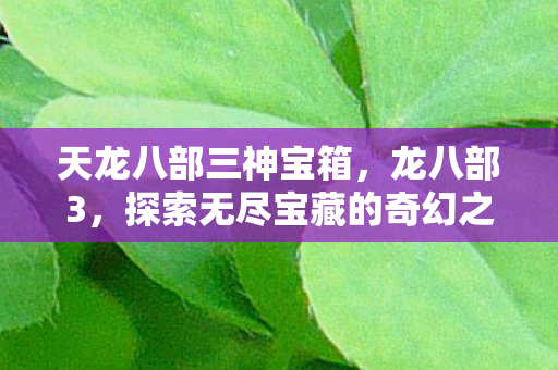 天龙八部三神宝箱,龙八部3,探索无尽宝藏的奇幻之旅 天龙八部三神宝箱,龙八部3,探索无尽宝藏的奇幻之旅