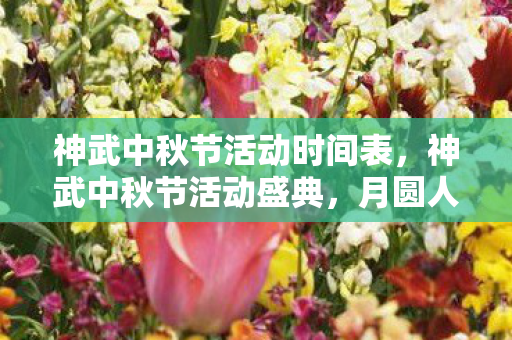 神武中秋节活动时间表，神武中秋节活动盛典，月圆人团圆，精彩活动乐无边