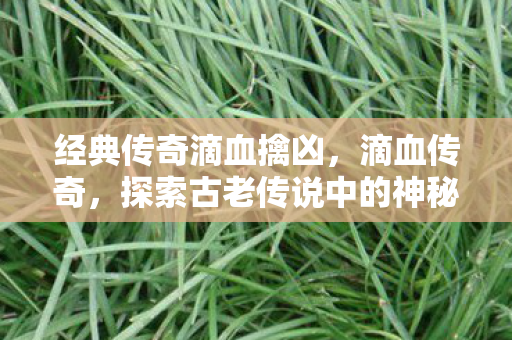 经典传奇滴血擒凶，滴血传奇，探索古老传说中的神秘力量