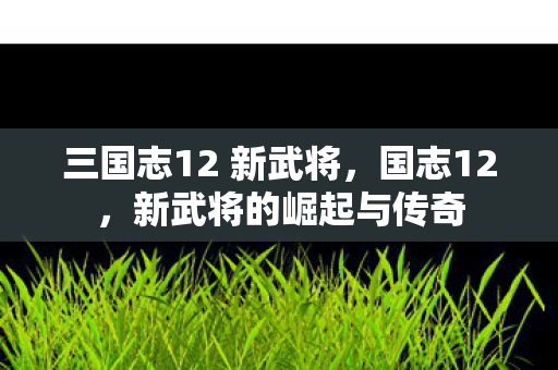 三国志12 新武将,国志12,新武将的崛起与传奇 三国志12 新武将,国志12,新武将的崛起与传奇