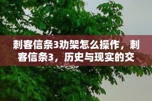 刺客信条3劝架怎么操作,刺客信条3,历史与现实的交织 刺客信条3劝架怎么操作,刺客信条3,历史与现实的交织