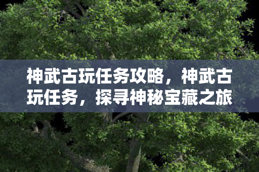 神武古玩任务攻略，神武古玩任务，探寻神秘宝藏之旅