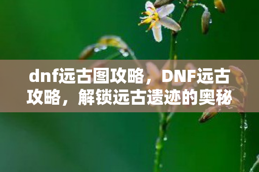 dnf远古图攻略,DNF远古攻略,解锁远古遗迹的奥秘 dnf远古图攻略,DNF远古攻略,解锁远古遗迹的奥秘