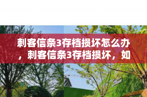 刺客信条3存档损坏怎么办图片