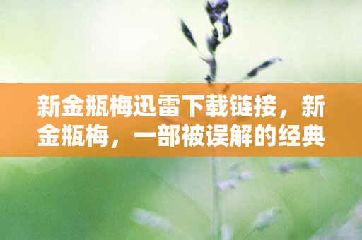 新金瓶梅迅雷下载链接，新金瓶梅，一部被误解的经典