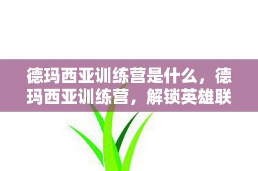 德玛西亚训练营是什么，德玛西亚训练营，解锁英雄联盟英雄技能的秘密