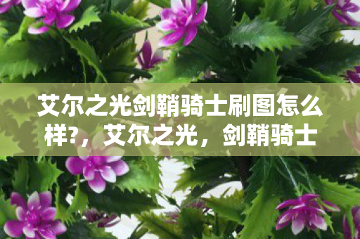 艾尔之光剑鞘骑士刷图怎么样?，艾尔之光，剑鞘骑士的荣耀与传奇