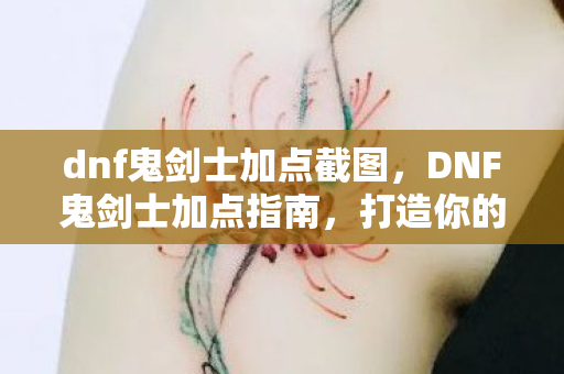 dnf鬼剑士加点截图，DNF鬼剑士加点指南，打造你的专属战斗风格