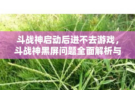 斗战神启动后进不去游戏，斗战神黑屏问题全面解析与解决指南