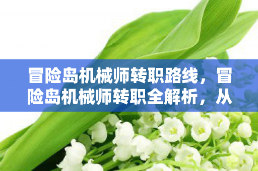 冒险岛机械师转职路线，冒险岛机械师转职全解析，从入门到精通的旅程