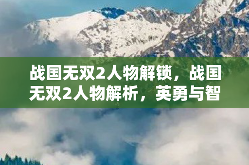 战国无双2人物解锁，战国无双2人物解析，英勇与智谋的碰撞