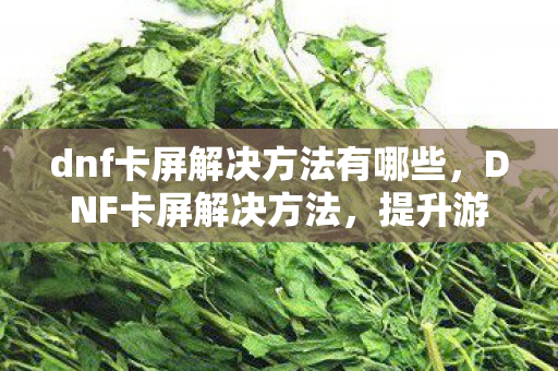 dnf卡屏解决方法有哪些，DNF卡屏解决方法，提升游戏流畅度的实用技巧