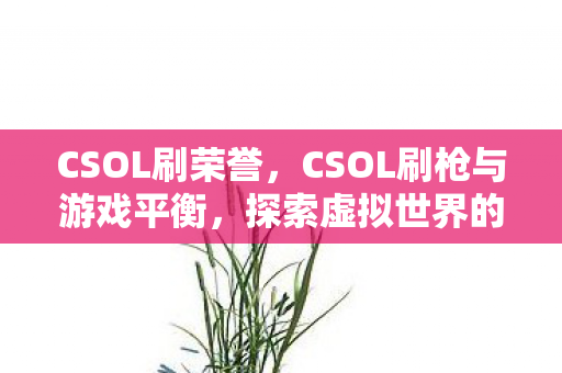 CSOL刷荣誉,CSOL刷枪与游戏平衡,探索虚拟世界的灰色地带 CSOL刷荣誉,CSOL刷枪与游戏平衡,探索虚拟世界的灰色地带