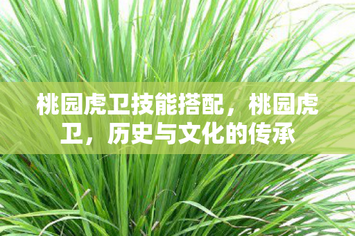 桃园虎卫技能搭配，桃园虎卫，历史与文化的传承