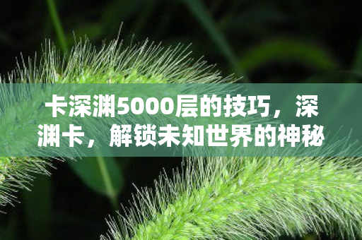 卡深渊5000层的技巧，深渊卡，解锁未知世界的神秘钥匙