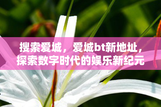 搜索爱城，爱城bt新地址，探索数字时代的娱乐新纪元