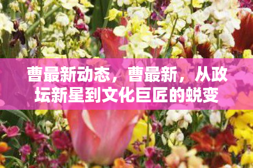 曹最新动态，曹最新，从政坛新星到文化巨匠的蜕变