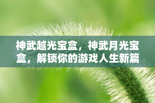 神武越光宝盒，神武月光宝盒，解锁你的游戏人生新篇章