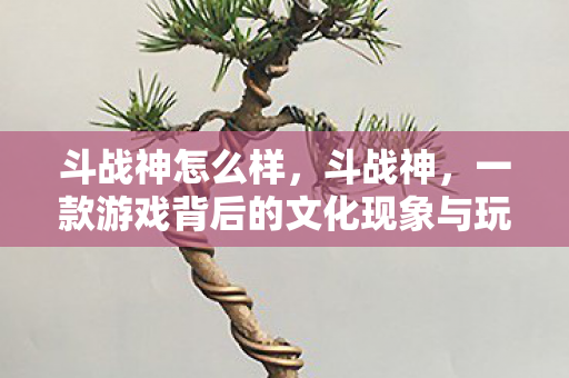 斗战神怎么样,斗战神,一款游戏背后的文化现象与玩家情感 斗战神怎么样,斗战神,一款游戏背后的文化现象与玩家情感