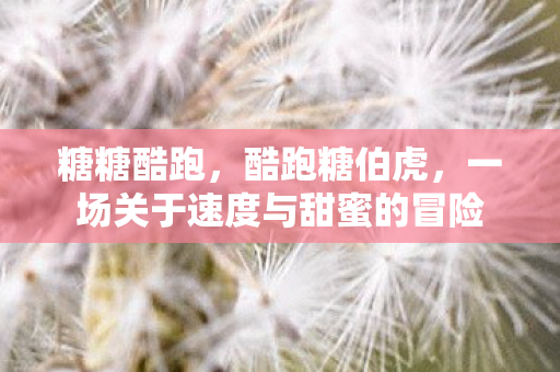 糖糖酷跑，酷跑糖伯虎，一场关于速度与甜蜜的冒险